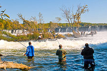 Oswego River Fishing