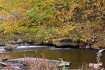 Salmon River Falls