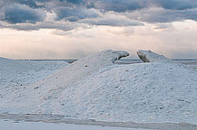 Lake Ontario