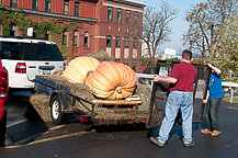 2009 CNY Pumpkin Festival