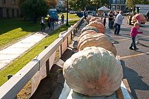 2009 CNY Pumpkin Festival