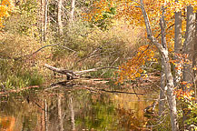 Oswego River