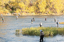 Oswego River