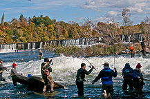 Oswego River