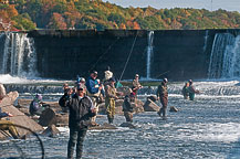 Oswego River