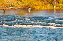 Oswego River