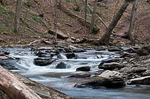 Ricketts Glen State park, PA