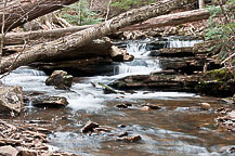 Ricketts Glen State park, PA