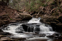 Ricketts Glen State park, PA