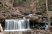 Ricketts Glen State park, PA