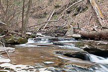 Ricketts Glen State park, PA