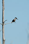 Kingfisher Sterling Nature Center