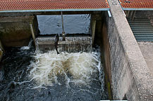 Salmon River Fish Hatchery Open House, 2010