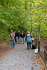 Salmon River Falls