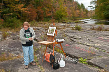 Salmon River Falls