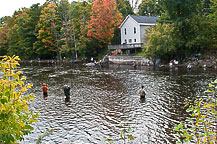 Salmon Fishing Salmon River, Pulaski, NY