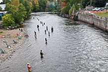 Salmon Fishing Salmon River, Pulaski, NY