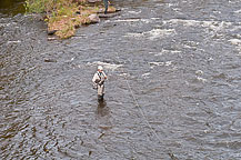 Salmon Fishing Salmon River, Pulaski, NY