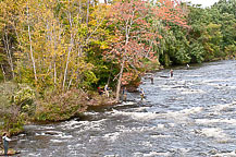 Salmon Fishing Salmon River, Pulaski, NY