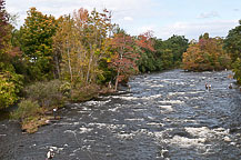 Salmon Fishing Salmon River, Pulaski, NY