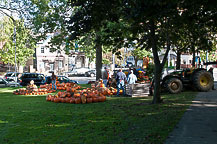 Oswego Pumpkinfest 2010