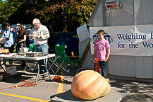 Oswego Pumpkinfest 2010  