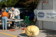 Oswego Pumpkinfest 2010  