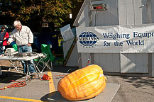 Oswego Pumpkinfest 2010