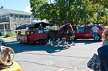 Oswego Pumpkinfest 2010