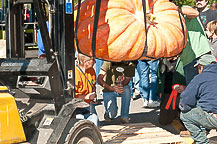 Oswego Pumpkinfest 2010