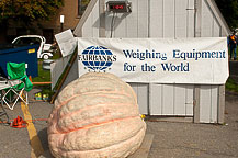 Oswego Pumpkinfest 2010