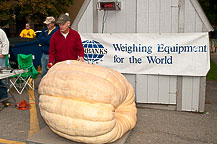 Oswego Pumpkinfest 2010