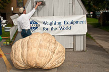 Oswego Pumpkinfest 2010