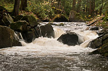 Jimmy Creek Falls