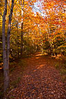 Sterling Nature Center