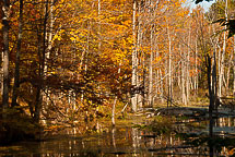 Sterling Nature Center