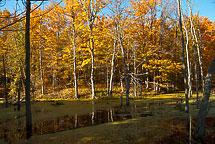 Sterling Nature Center