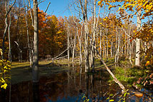 Sterling Nature Center