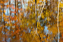 Sterling Nature Center