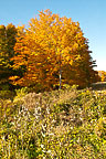 Sterling Nature Center