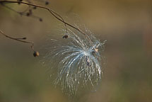 Sterling Nature Center