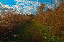 Sterling Nature Center