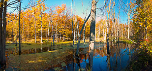 Sterling Nature Center