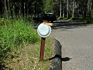 Karin's Wedding, Glacier National Park