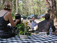 Karin's Wedding, Glacier National Park