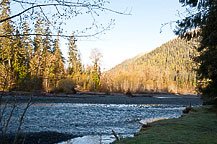 Hoh Rain Forest
