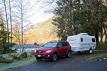 Hoh Rain Forest