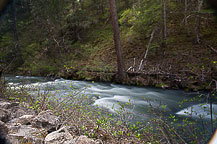 Strean below Burney Falls