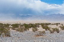 Mesquite Flats sand Dunes
