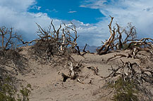 Sand Dunes